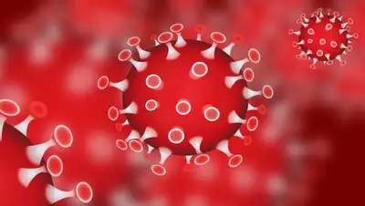 24.kz, фото - Новости Zakon.kz от 02.04.2020 18:48