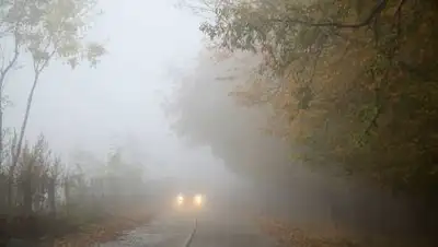 pxfuel.com, фото - Новости Zakon.kz от 26.10.2021 18:39