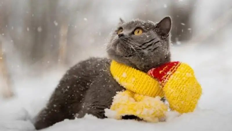 Прогноз погоды на 1 января