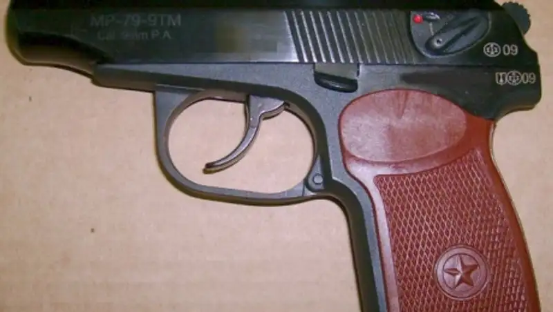 Житель Алматинской области водворен под стражу за незаконное ношение оружия