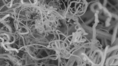 Zakon.kz, фото - Новости Zakon.kz от 20.08.2015 21:27