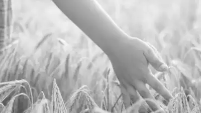 24.kz, фото - Новости Zakon.kz от 29.04.2021 14:42