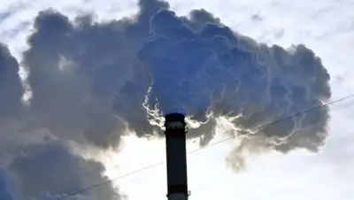 Izolacje, фото - Новости Zakon.kz от 15.04.2018 06:33