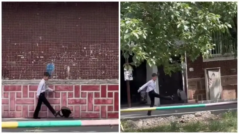 Пинающий рюкзак школьник взорвал Казнет