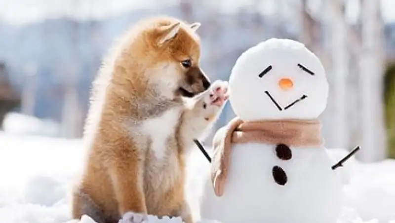 Снежная погода ждет казахстанцев в воскресенье