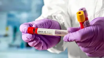 inform.kz, фото - Новости Zakon.kz от 05.06.2020 14:08