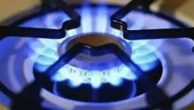 Zakon.kz, фото - Новости Zakon.kz от 02.07.2017 19:12