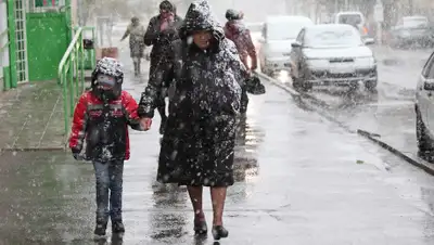 eg.ru, фото - Новости Zakon.kz от 16.03.2020 13:55