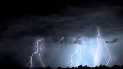 pixabay.com, фото - Новости Zakon.kz от 01.09.2020 16:41