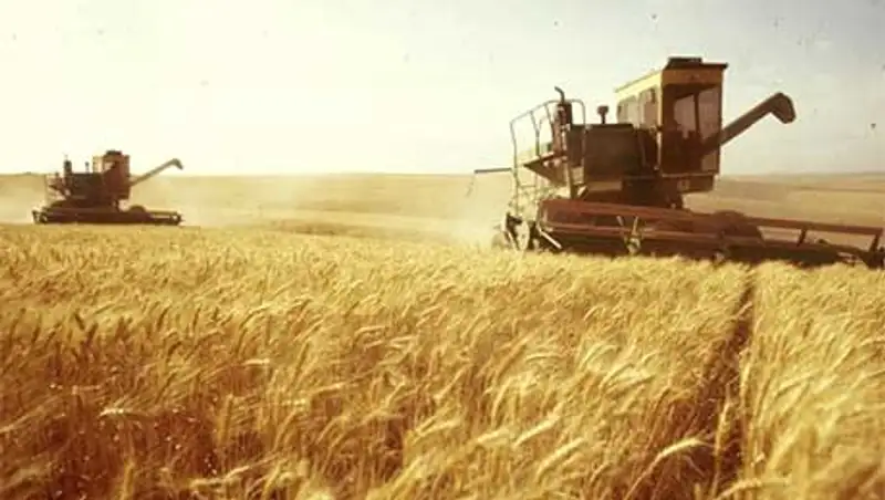 В Казахстане убрано более 15 млн га или 95,8% зерновых культур, фото - Новости Zakon.kz от 16.10.2013 22:53
