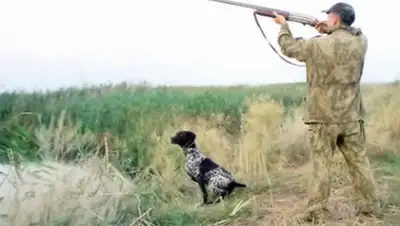 Zakon.kz, фото - Новости Zakon.kz от 03.03.2016 17:51