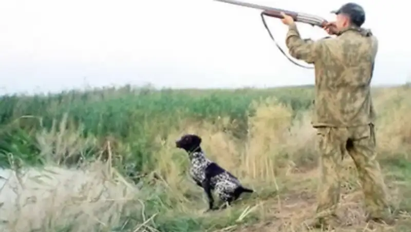 В РК утверждены правила обучения и тестирования охотников