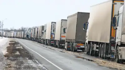 politikus.ru, фото - Новости Zakon.kz от 06.03.2020 17:36