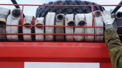 Фото © Sputnik / Александр Кожохин, фото - Новости Zakon.kz от 16.12.2017 14:10