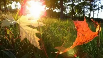 Zakon.kz, фото - Новости Zakon.kz от 06.09.2017 06:00