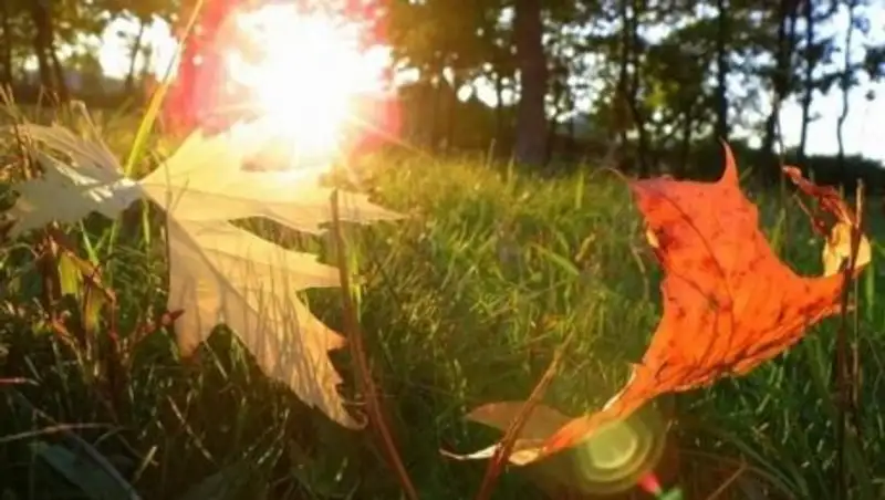 Ветрено и жарко будет в Казахстане в среду