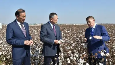 Zakon.kz, фото - Новости Zakon.kz от 12.10.2017 12:21