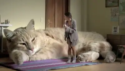 Zakon.kz, фото - Новости Zakon.kz от 03.11.2015 16:14