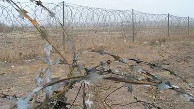 Zakon.kz, фото - Новости Zakon.kz от 17.02.2014 19:27