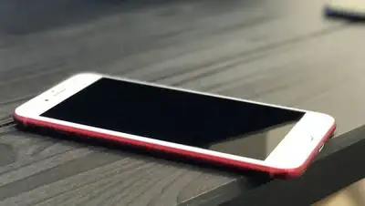 Zakon.kz, фото - Новости Zakon.kz от 09.10.2017 22:03