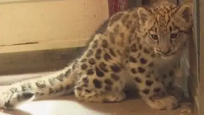 Zakon.kz, фото - Новости Zakon.kz от 27.09.2017 10:46