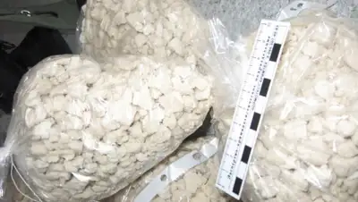 1UL.RU, фото - Новости Zakon.kz от 01.06.2020 19:02