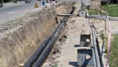 Zakon.kz, фото - Новости Zakon.kz от 03.07.2017 22:08