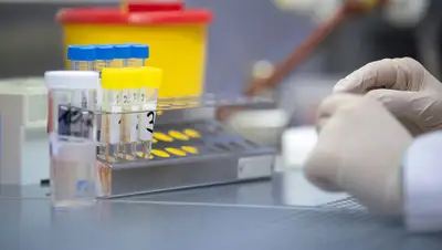 Sebastian Gollnow/ Global Look Press, фото - Новости Zakon.kz от 25.03.2020 14:13