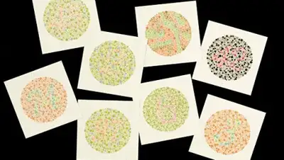 Science Museum, фото - Новости Zakon.kz от 17.08.2020 06:41