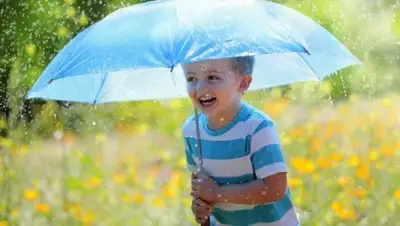 Zakon.kz, фото - Новости Zakon.kz от 31.07.2017 12:00