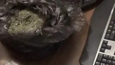 Zakon.kz, фото - Новости Zakon.kz от 24.08.2017 16:20