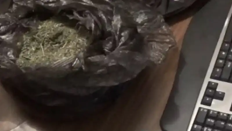 Павлодарда 1,5 келі есірткі үшін жас жігіт 10 жылға сотталуы мүмкін