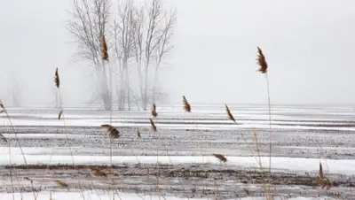 снег, зима , фото - Новости Zakon.kz от 17.01.2022 11:51