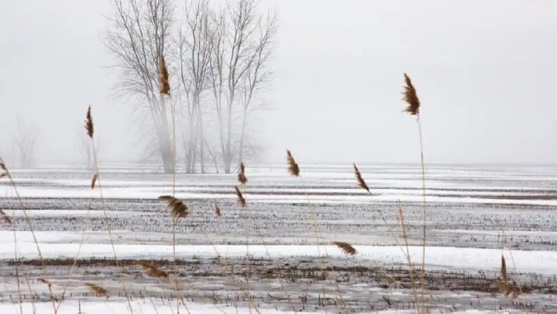 Дождь, снег, ветер — прогноз погоды в Казахстане на 18-20 января