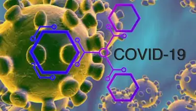 astana.gov.kz, фото - Новости Zakon.kz от 29.06.2020 12:03