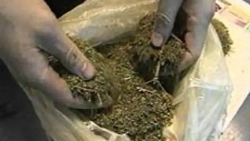 Аяғына марихуана жасырған азамат қолға түсті