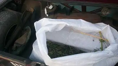 Zakon.kz, фото - Новости Zakon.kz от 17.09.2014 21:13