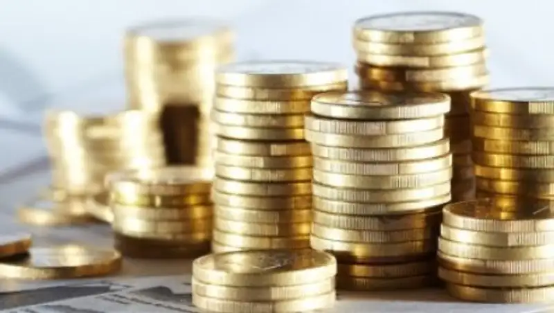 Акмолинские полицейские ищут "вкладчиков" финансовой пирамиды