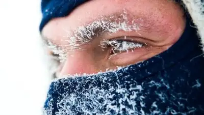 Zakon.kz, фото - Новости Zakon.kz от 23.01.2018 21:48