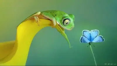 Zakon.kz, фото - Новости Zakon.kz от 12.02.2015 18:02