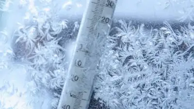 pixabay.com, фото - Новости Zakon.kz от 24.12.2020 13:32