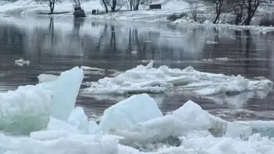 inform.kz, фото - Новости Zakon.kz от 22.02.2018 17:53