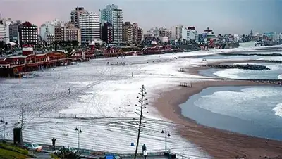 Zakon.kz, фото - Новости Zakon.kz от 20.07.2017 23:18