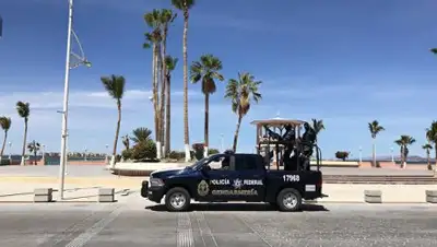 © AFP 2018 / Daniel Slim, фото - Новости Zakon.kz от 16.10.2018 07:27