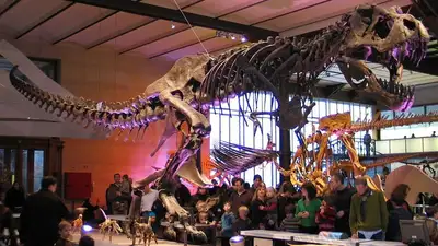 скелет тираннозавра продали, фото - Новости Zakon.kz от 19.04.2023 10:48