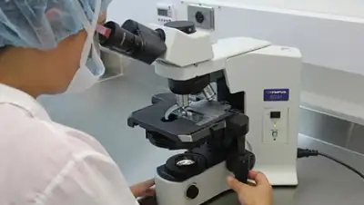 Лента, фото - Новости Zakon.kz от 01.04.2020 06:49