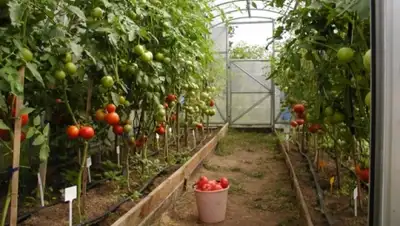 Zakon.kz, фото - Новости Zakon.kz от 10.03.2016 03:19