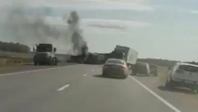 соцсети, фото - Новости Zakon.kz от 24.09.2018 18:03