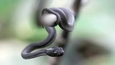 Zakon.kz, фото - Новости Zakon.kz от 30.07.2015 15:38