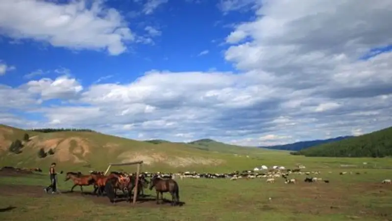 Товарооборот между РК и Монголией достиг 28,8 млн долларов за 5 месяцев